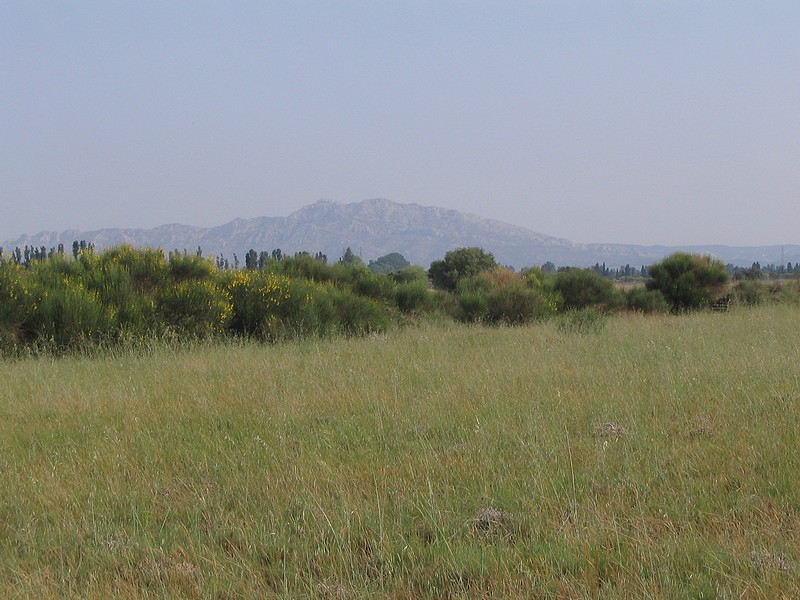 crau2.jpg